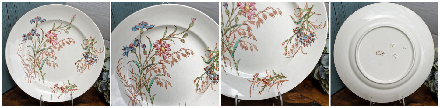 French Antique Ironstone Soup Tureen w/ Serving Plate BLEUET Motif K&G (Keller et Guérin) Lunéville Terre de Ferf