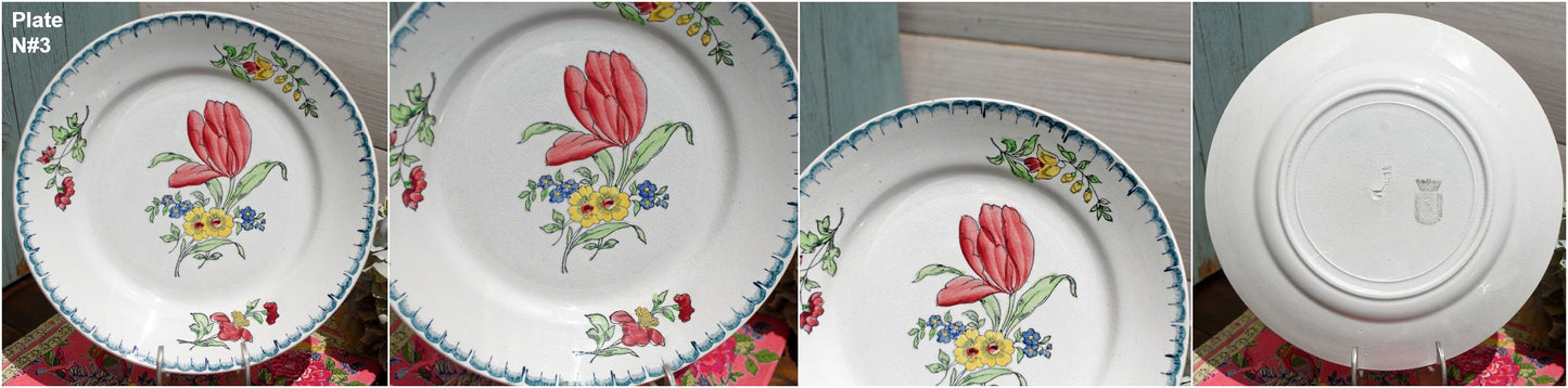 French Hand-Painted Ironstone Plate ST-AMAND Ste des Etablissement de Ceramique Made in France Terre de Fer