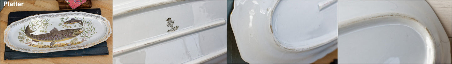 French Fine Porcelain Fish Service Plate Platter CP - France - Porcelaine de Luxe de la Compagnie Nationale