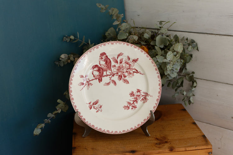 Dinner Plates "Assiettes"