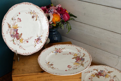 English Antique Polychrome Plate ALTHEA B&S Fabric Anglaise J(Jules) Etienne fils 29 rue paradis Paris
