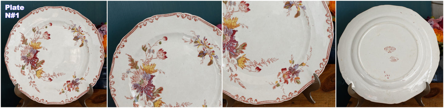 English Antique Polychrome Plate ALTHEA B&S Fabric Anglaise J(Jules) Etienne fils 29 rue paradis Paris
