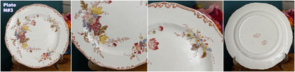 1890s ~ "ALTHEA" B&S Jules Etienne ~ RARE Collectible English Antique Ironstone Polychrome Dinner Plate