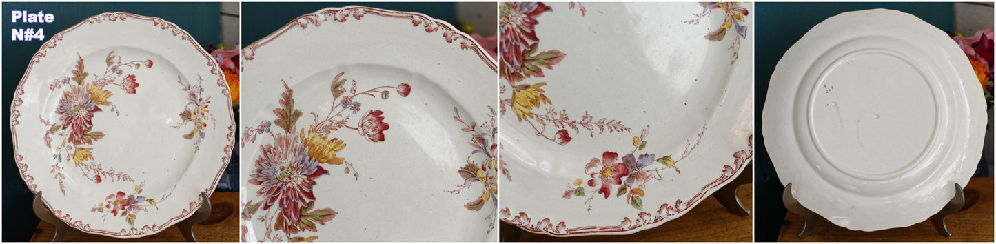 1890s ~ "ALTHEA" B&S Jules Etienne ~ RARE Collectible English Antique Ironstone Polychrome Dinner Plate