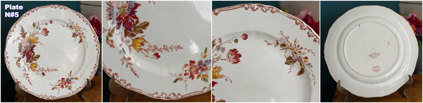 1890s ~ "ALTHEA" B&S Jules Etienne ~ RARE Collectible English Antique Ironstone Polychrome Dinner Plate