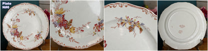 1890s ~ "ALTHEA" B&S Jules Etienne ~ RARE Collectible English Antique Ironstone Polychrome Dinner Plate