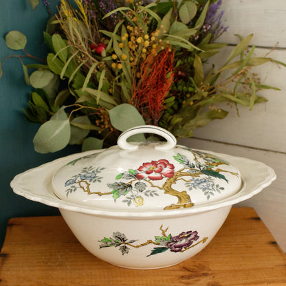 ASHBOURNE MOSES 1751 RALPH 1750 ENOCH 1764 Wood & Sons Burslem, England English Vintage Ironstone Polychrome Covered Serving Tureen