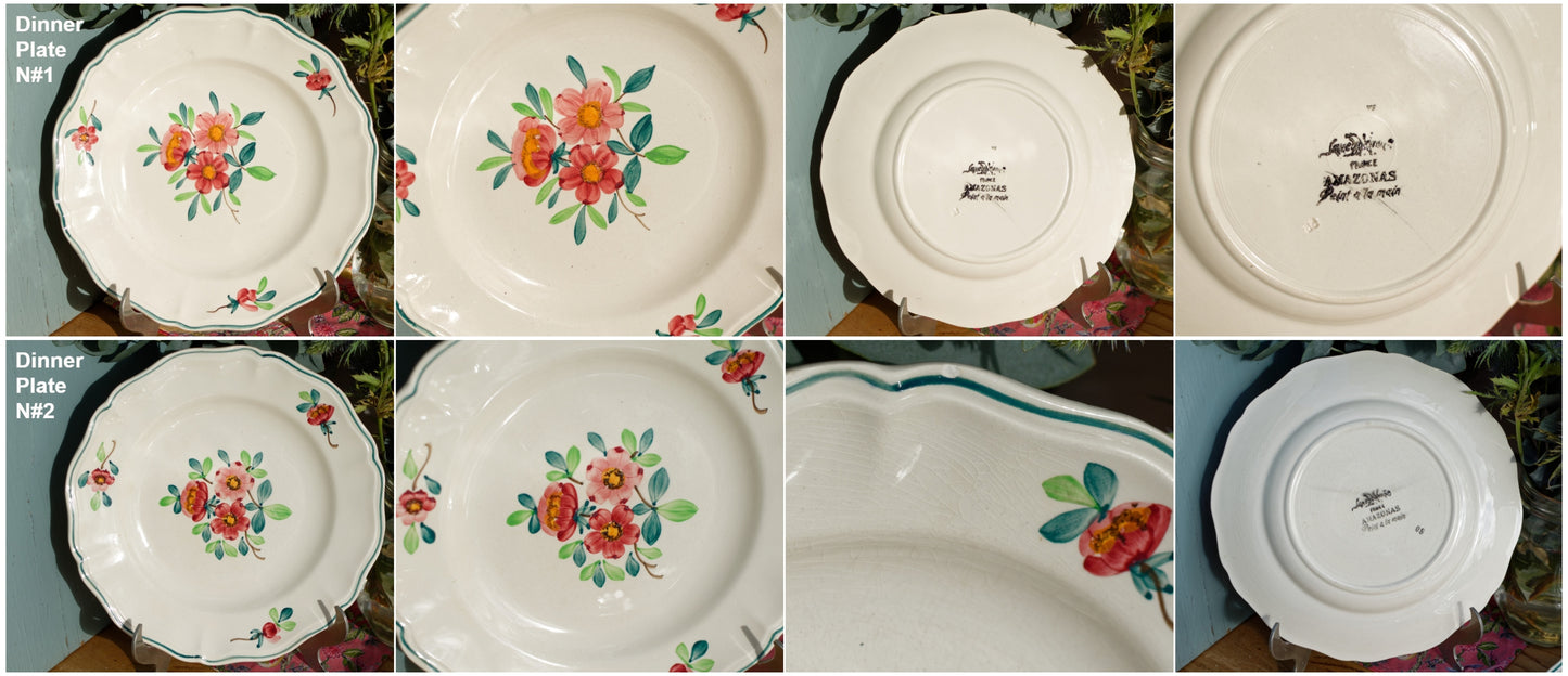 AMAZONAS SARREGUEMINES Peint a la Main French Antique Hand-Painted Ironstone Floral Dinner Plate Terre de fer