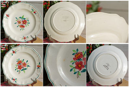 AMAZONAS SARREGUEMINES Peint a la Main French Antique Hand-Painted Ironstone Floral Dinner Plate Terre de fer