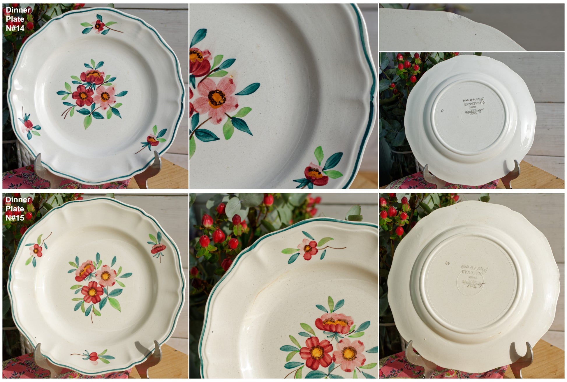 AMAZONAS SARREGUEMINES Peint a la Main French Antique Hand-Painted Ironstone Floral Dinner Plate Terre de fer