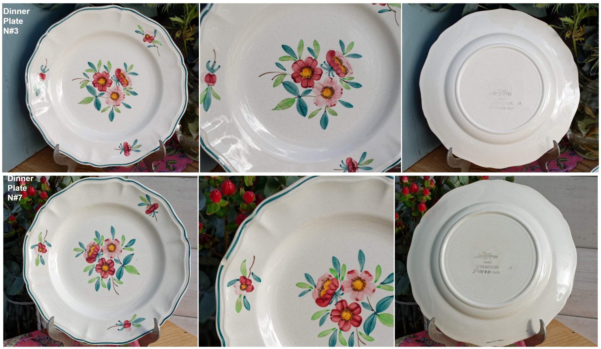 AMAZONAS SARREGUEMINES Peint a la Main French Antique Hand-Painted Ironstone Floral Dinner Plate Terre de fer