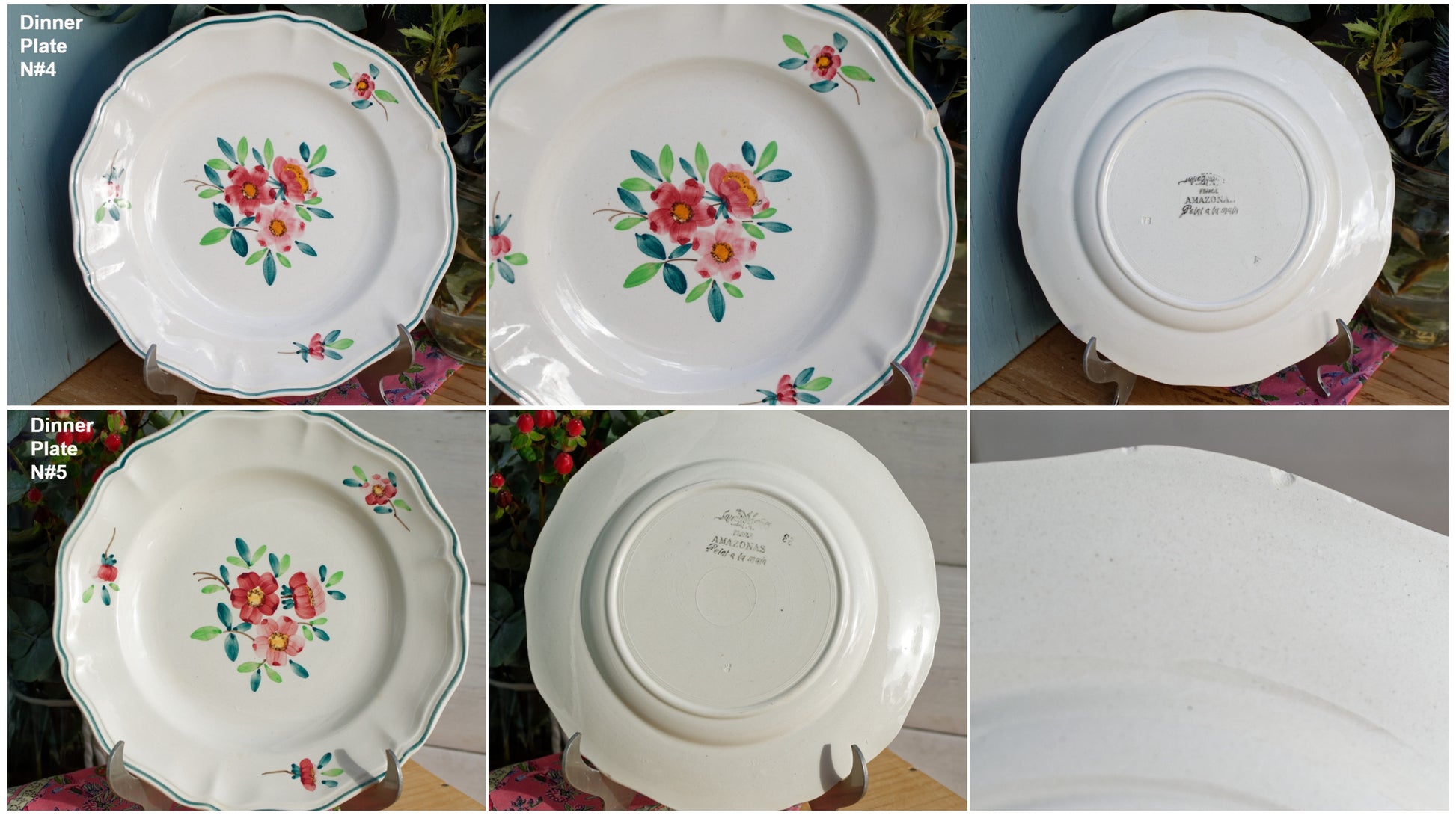 AMAZONAS SARREGUEMINES Peint a la Main French Antique Hand-Painted Ironstone Floral Dinner Plate Terre de fer