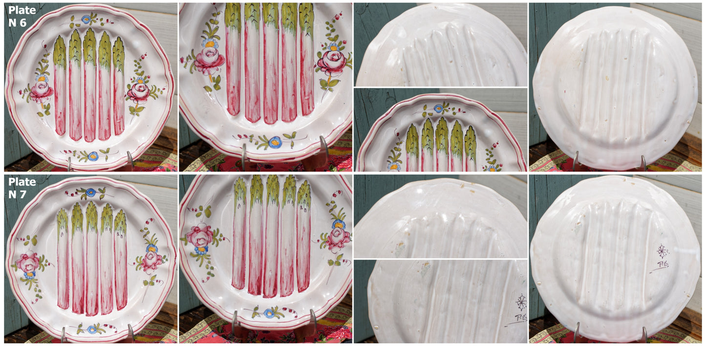 French Asparagus Plate Barbotine Majolica Hand-Painted Embossed Ironstone Earthware