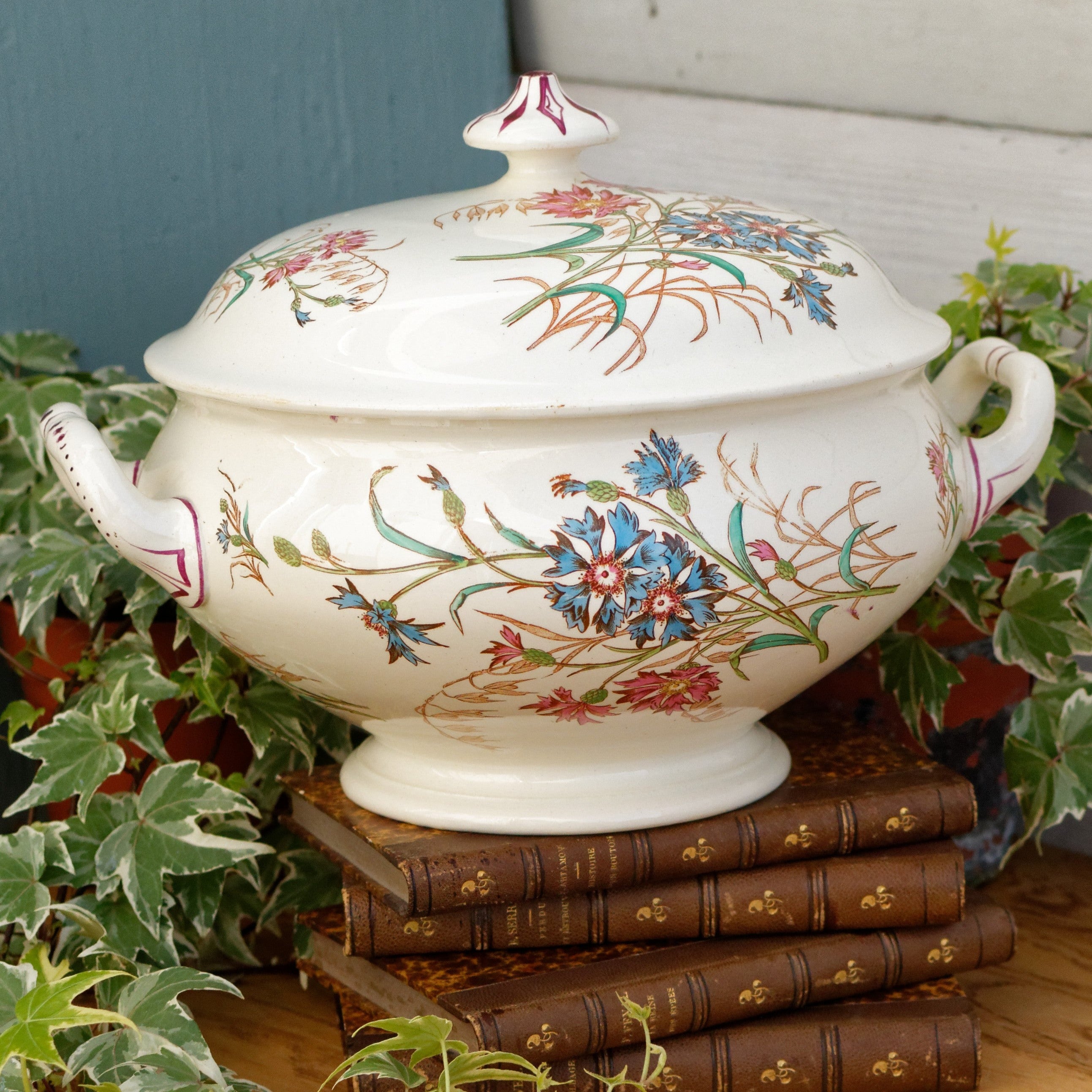 French Vintage Porcelain popular Serving Dish with Lid