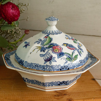 BOOTHs Silicon China Green Parrot Made in England English Antique Patented Ironstone Polychome Soup Tureen Soupiere Fine China