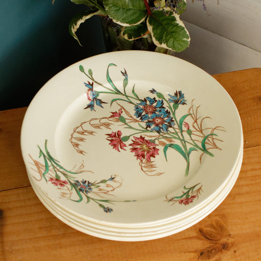 BLEUET K&G (Keller et Guérin) Lunéville French Antique Ironstone Polychrome Dinner Plate Terre de Fer en Faience