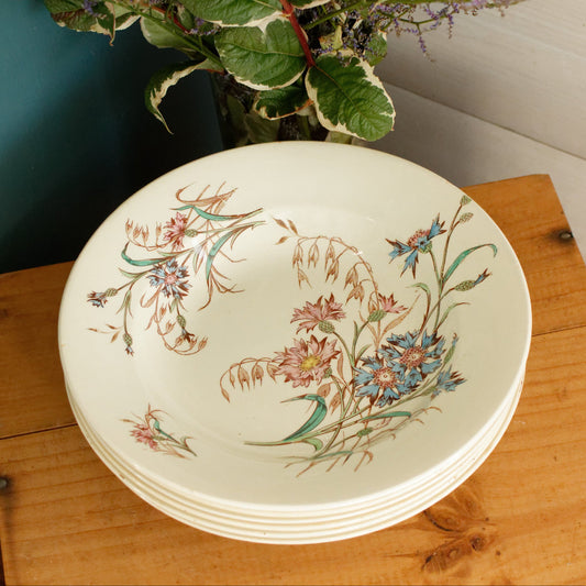 BLEUET K&G (Keller et Guérin) Lunéville French Antique Ironstone Polychrome Soup Plate Terre de Fer en Faience