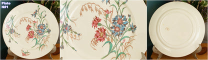 BLEUET K&G (Keller et Guérin) Lunéville French Antique Ironstone Polychrome Dinner Plate Terre de Fer en Faience