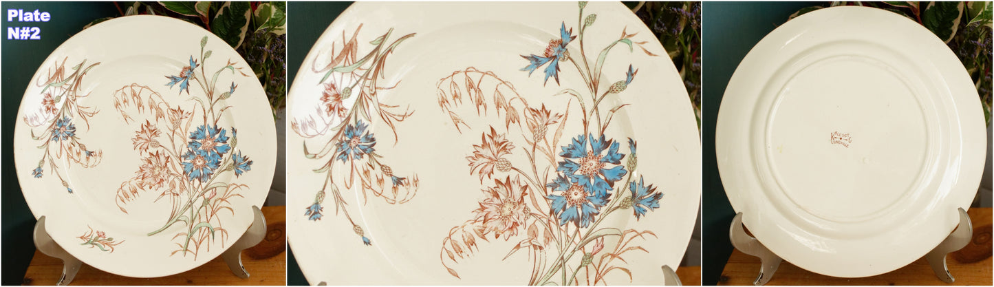 BLEUET K&G (Keller et Guérin) Lunéville French Antique Ironstone Polychrome Dinner Plate Terre de Fer en Faience