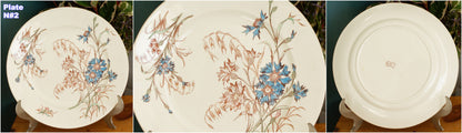 BLEUET K&G (Keller et Guérin) Lunéville French Antique Ironstone Polychrome Dinner Plate Terre de Fer en Faience