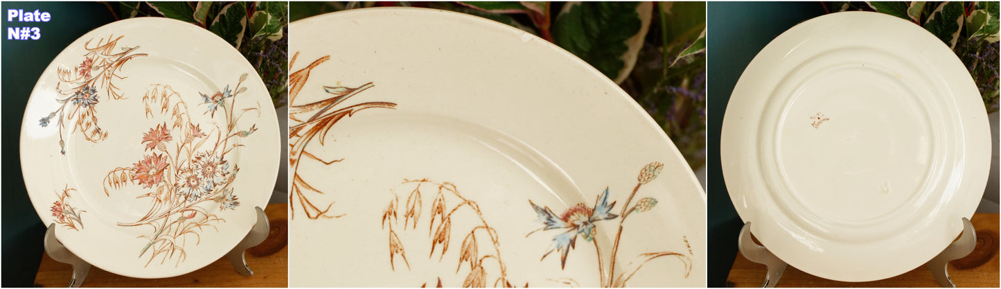 BLEUET K&G (Keller et Guérin) Lunéville French Antique Ironstone Polychrome Dinner Plate Terre de Fer en Faience