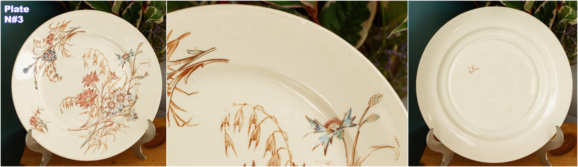 BLEUET K&G (Keller et Guérin) Lunéville French Antique Ironstone Polychrome Dinner Plate Terre de Fer en Faience