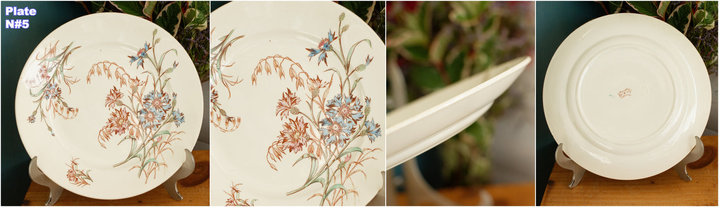 1890s/1900s ~ "BLEUET" K&G (Keller et Guérin) Lunéville ~ French Antique Ironstone Polychrome Dinner Plate ~ Terre de Fer en Faience