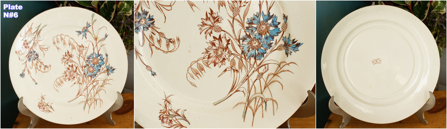 1890s/1900s ~ "BLEUET" K&G (Keller et Guérin) Lunéville ~ French Antique Ironstone Polychrome Dinner Plate ~ Terre de Fer en Faience