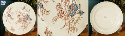 1890s/1900s ~ "BLEUET" K&G (Keller et Guérin) Lunéville ~ French Antique Ironstone Polychrome Dinner Plate ~ Terre de Fer en Faience