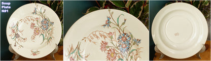 BLEUET K&G (Keller et Guérin) Lunéville French Antique Ironstone Polychrome Soup Plate Terre de Fer en Faience