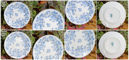 SARREGUEMINES FRANCE ~ French Antique Ironstone Lavender Blue Transferware Small Plate ~ Terre de Fer