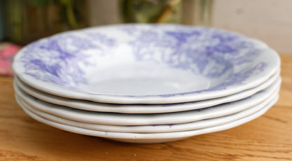 French Antique Ironstone Lavender Transferware Plate BRYONIA Sarreguemines U&C Terre de Fer Faience