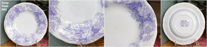 French Antique Ironstone Lavender Transferware Plate BRYONIA Sarreguemines U&C Terre de Fer Faience