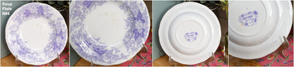 French Antique Ironstone Lavender Transferware Plate BRYONIA Sarreguemines U&C Terre de Fer Faience