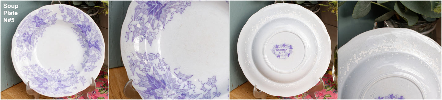 French Antique Ironstone Lavender Transferware Plate BRYONIA Sarreguemines U&C Terre de Fer Faience