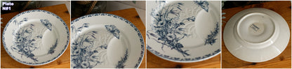 1920s ~ "CARMEN" Sarreguemines U&C ~ French Antique Ironstone Blue Transferware Asparagus Plate ~ Terre de fer en Faience