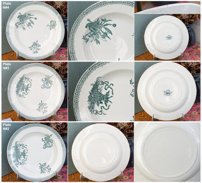 Carlos MérovinGien Faiencerie FF (Fenal Frères) PEXONNE French Antique Ironstone Green Transferware Soup Plate Terre de Fer