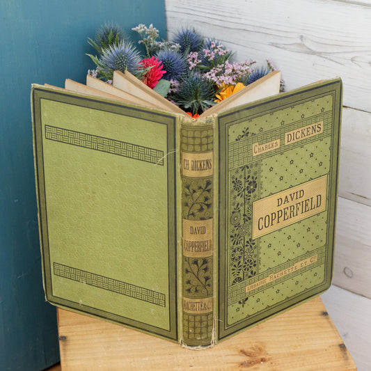 1885 Charles Dickens David Copperfield HACHETTE et Cie French Antique Collectible Gilded Cartonnage Book Novel Livre Roman