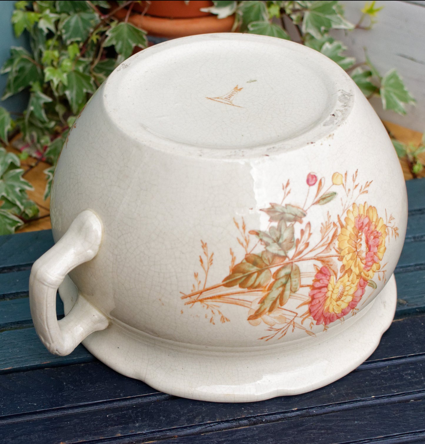 DAISY Chrysanthemum French Antique Collectible Ironstone Polychrome Large Bathroom Pitcher Pot de Chambre BROC CRUCHE Terre de fer en Faience