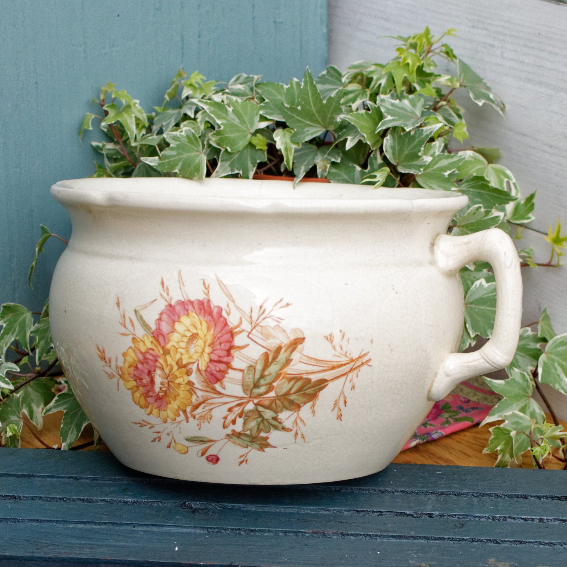 DAISY Chrysanthemum French Antique Collectible Ironstone Polychrome Large Bathroom Pitcher Pot de Chambre BROC CRUCHE Terre de fer en Faience