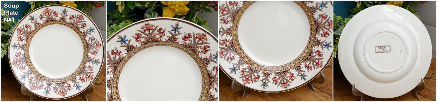 DERBY Motif Sarreguemines U&C French Antique Ironstone Polychrome Soup Plate Terre de Fer en FAIENCE