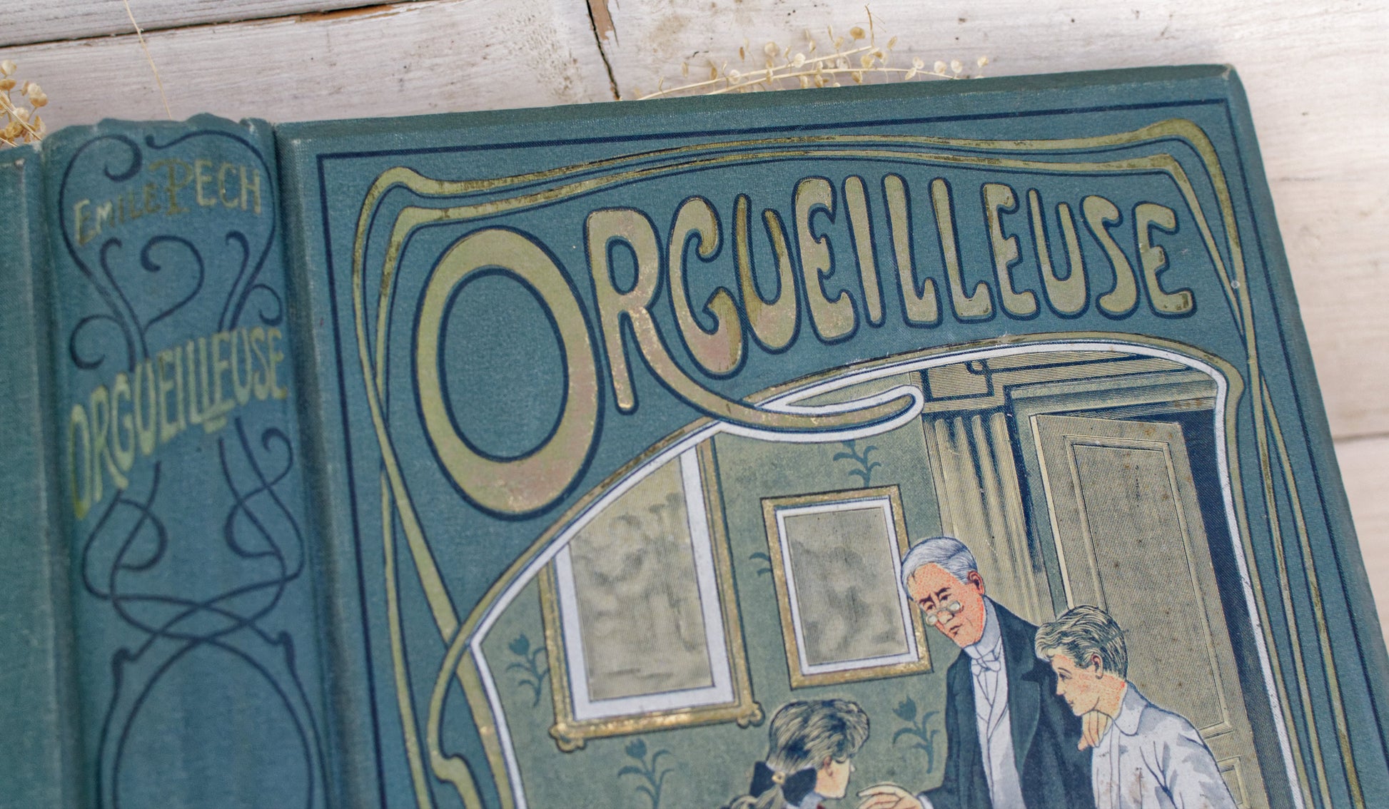 1907 ORGUEILLEUSE by Emile Pech CH Delagrave French Antique Collectible First Edition Illustrated Polychrome Hardcover Book Novel  Gilded Cartonnage Livre Roman