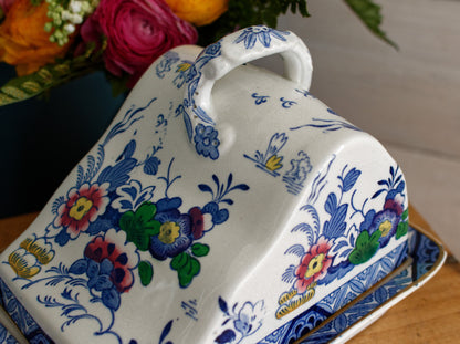 Netherlands BOOTHs Silicon China Made in England English Antique Ironstone Polychome Rectangular Covered Butter Cheese Dish