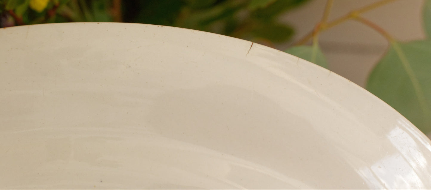 1880年代/1900年代 ~ "FLORE" Sarreguemines U&amp;C ~ フランスアンティーク アイアンストーン ブルー トランスファーウェア サービングプレート ~ スカラップエッジ テール ド フェール