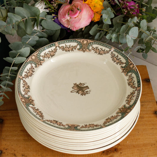DUBARRY Sarreguemines U&C French Antique Ironstone Polychrome Dinner Plate "Assiette" Terre de Fer en Faience