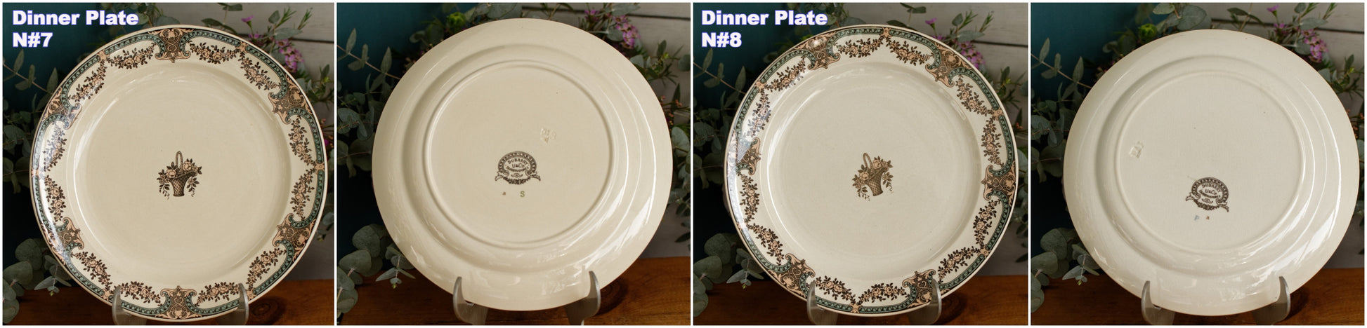DUBARRY Sarreguemines U&C French Antique Ironstone Polychrome Dinner Plate "Assiette" Terre de Fer en Faience