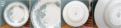 French Ironstone Plate DAISY Nouvelles Usines Ceramiques du Nord St. Amand (NORD) Terre de Fer