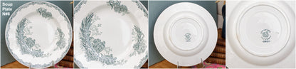 French Ironstone Plate DAISY Nouvelles Usines Ceramiques du Nord St. Amand (NORD) Terre de Fer