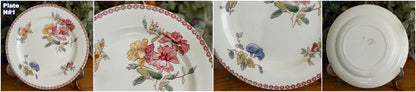 1890s Ste Fleuri Jules Vieillard (J.V.) & Cie French Antique Ironstone Polychrome Dinner Plate "Assiette" Terre de Fer en Faience
