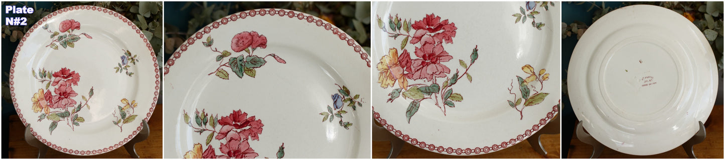 1890s Ste Fleuri Jules Vieillard (J.V.) & Cie French Antique Ironstone Polychrome Dinner Plate "Assiette" Terre de Fer en Faience
